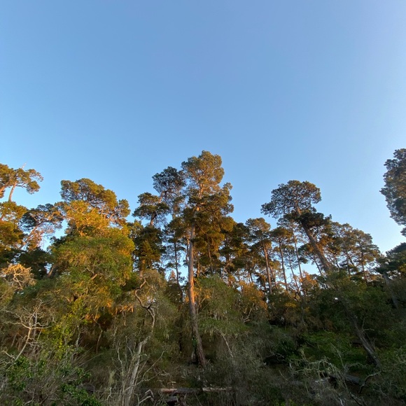 Meet your Posher, Eleanor - Picture 1 of 1